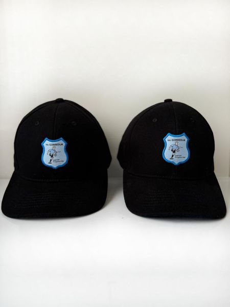 VV Gorredijk logo - Pet