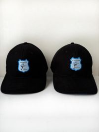 VV Gorredijk logo - Pet